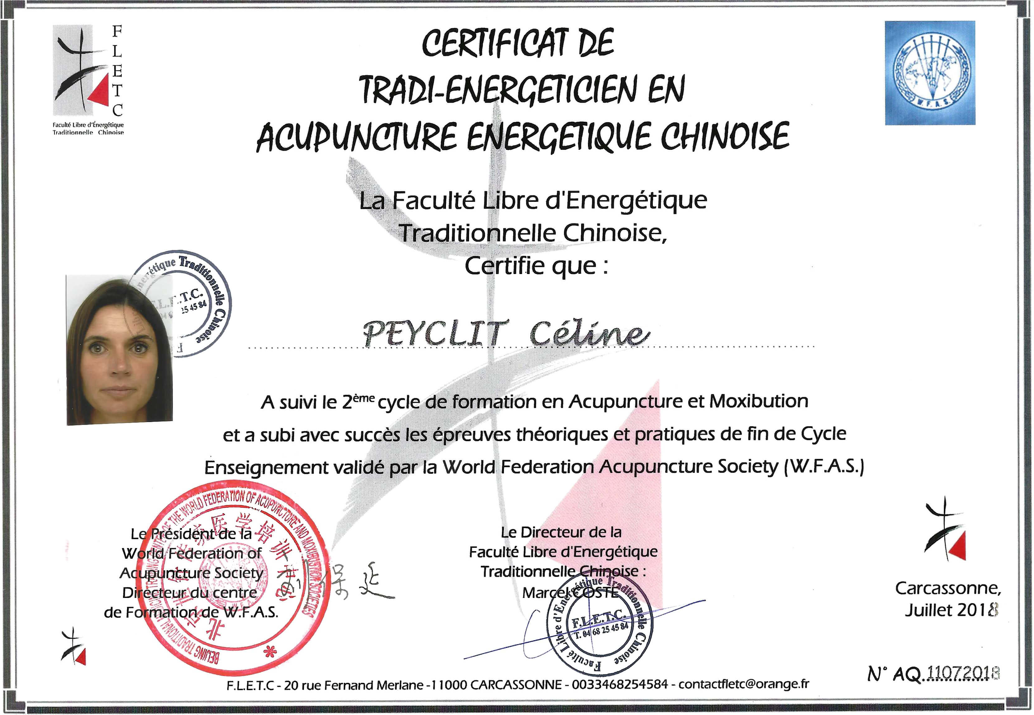 Celine-peyclit-bien-etre-energetique-acupuncture-diplome-lyon-croix-rousse-meyzieu.jpg